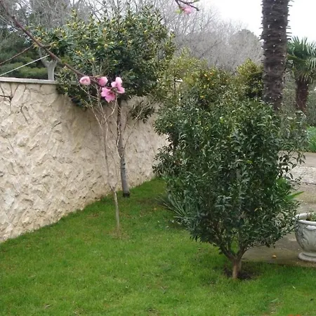 Aurora Borik Apartmán *