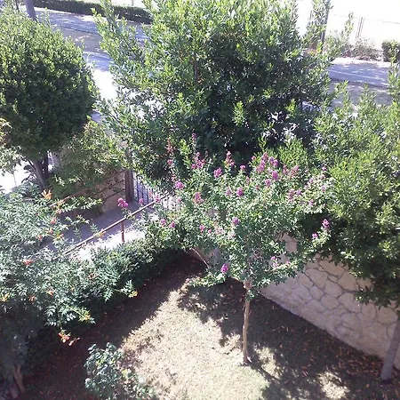 Apartman Aurora Borik Zára