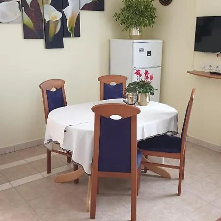 Aurora Borik * Задар