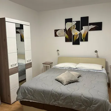 Aurora Borik ザダル